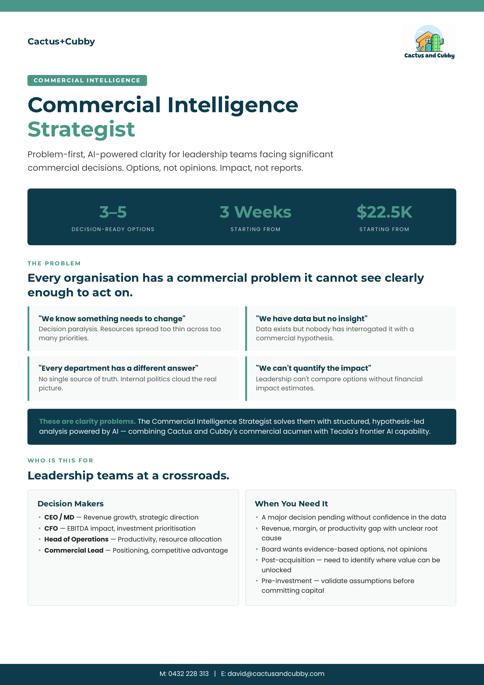 Commercial Intelligence Strategist — page 1